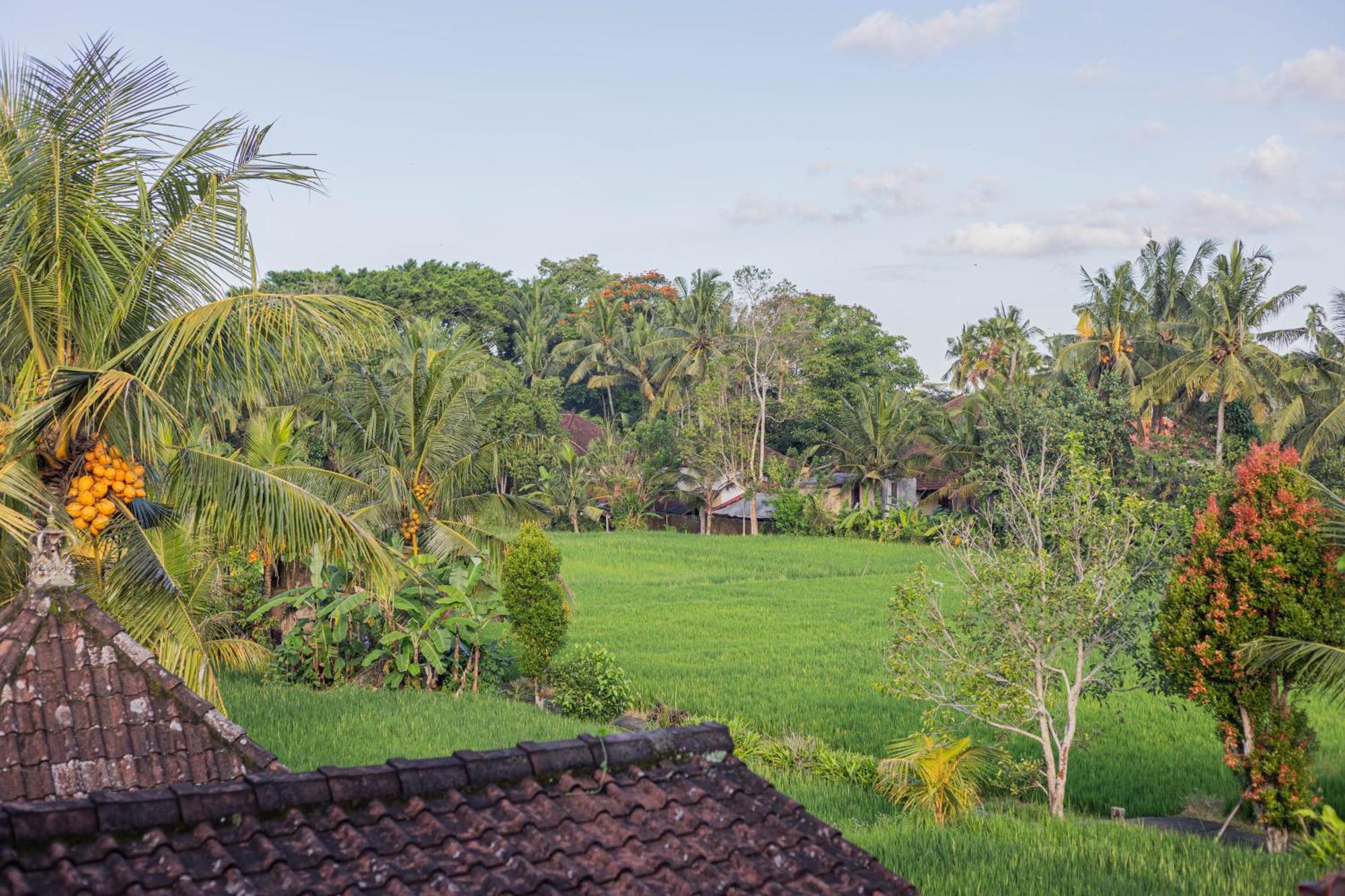 Sari Bamboo Bungalows Ubud Chambre photo